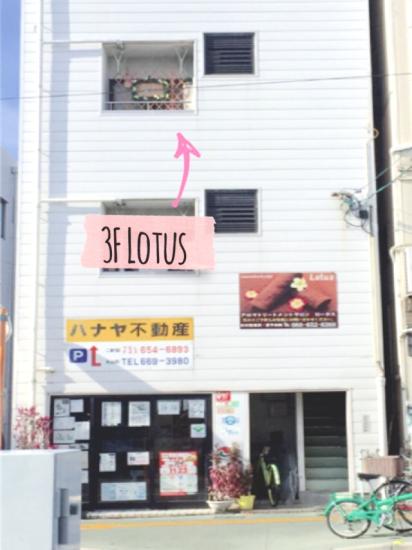 Lotus【ロータス】(写真 2)