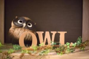 おうちサロン Owlオウル(写真 1)