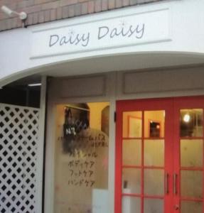 DaisyDaisy(写真 1)