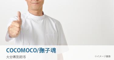 COCOMOCO/撫子魂